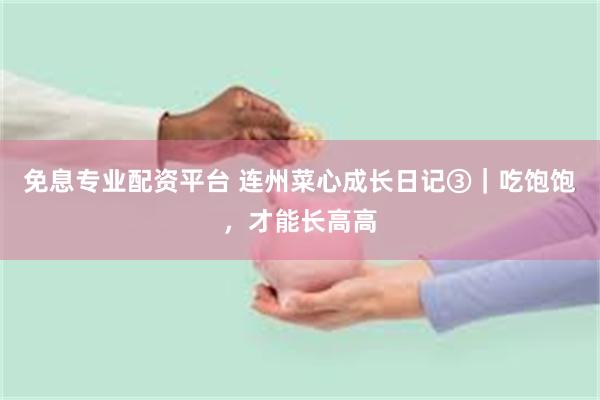 免息专业配资平台 连州菜心成长日记③｜吃饱饱，才能长高高