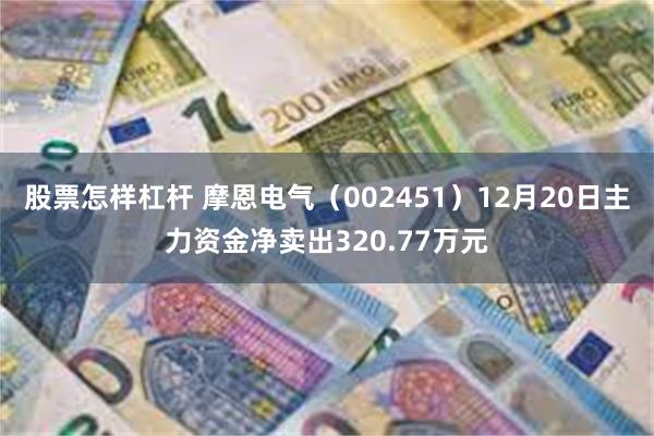 股票怎样杠杆 摩恩电气（002451）12月20日主力资金净卖出320.77万元