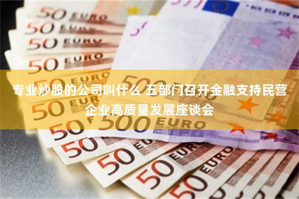专业炒股的公司叫什么 五部门召开金融支持民营企业高质量发展座谈会