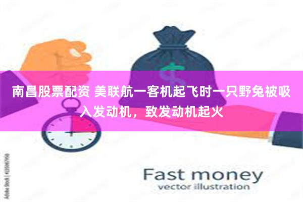 南昌股票配资 美联航一客机起飞时一只野兔被吸入发动机，致发动机起火