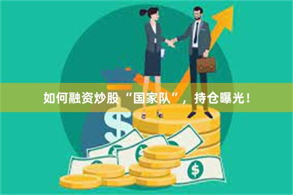 如何融资炒股 “国家队”，持仓曝光！