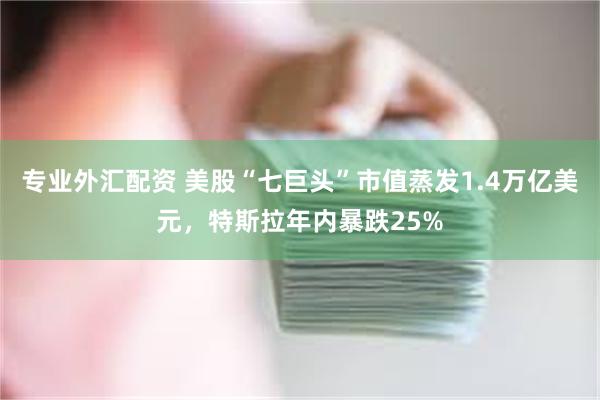 专业外汇配资 美股“七巨头”市值蒸发1.4万亿美元，特斯拉年内暴跌25%