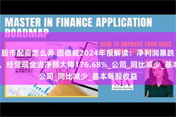 股市配资怎么弄 固德威2024年报解读：净利润暴跌107.25%，经营现金流净额大降176.68%_公司_同比减少_基本每股收益