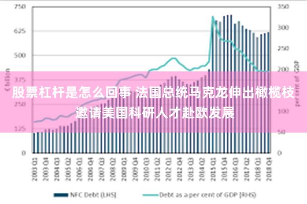 股票杠杆是怎么回事 法国总统马克龙伸出橄榄枝 邀请美国科研人才赴欧发展