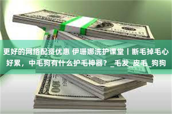 更好的网络配资优惠 伊珊娜洗护课堂丨断毛掉毛心好累，中毛狗有什么护毛神器？_毛发_皮毛_狗狗