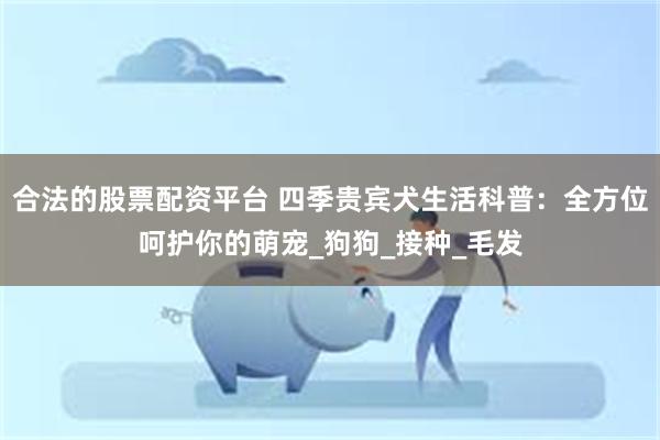 合法的股票配资平台 四季贵宾犬生活科普：全方位呵护你的萌宠_狗狗_接种_毛发