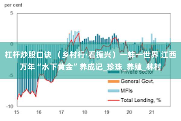 杠杆炒股口诀 （乡村行·看振兴）一蚌一世界 江西万年“水下黄金”养成记_珍珠_养殖_林村