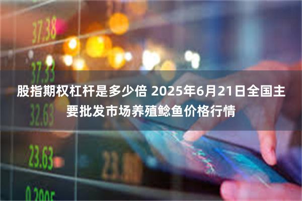 股指期权杠杆是多少倍 2025年6月21日全国主要批发市场养殖鲶鱼价格行情