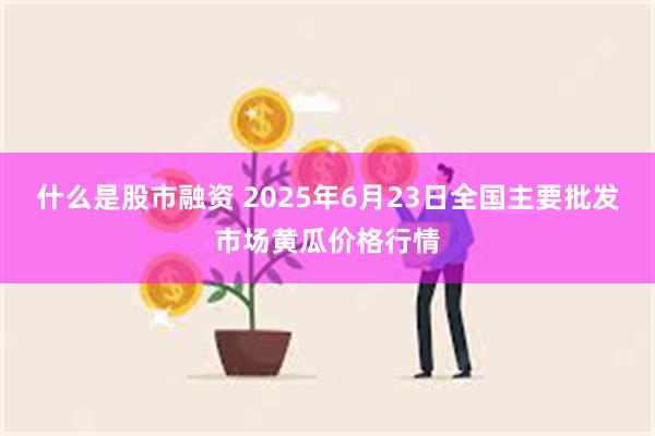 什么是股市融资 2025年6月23日全国主要批发市场黄瓜价格行情