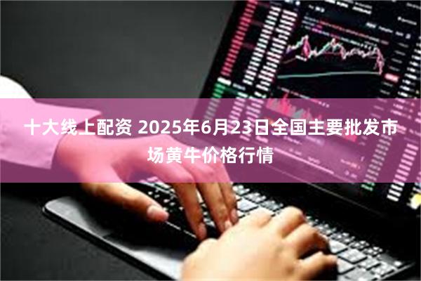 十大线上配资 2025年6月23日全国主要批发市场黄牛价格行情