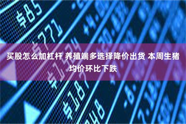 买股怎么加杠杆 养殖端多选择降价出货 本周生猪均价环比下跌
