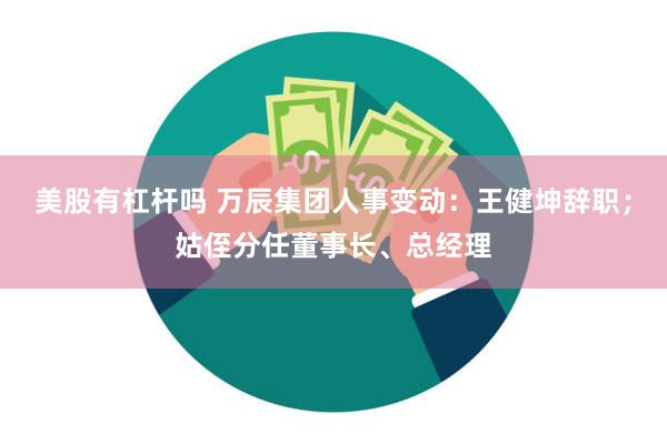 美股有杠杆吗 万辰集团人事变动：王健坤辞职；姑侄分任董事长、总经理