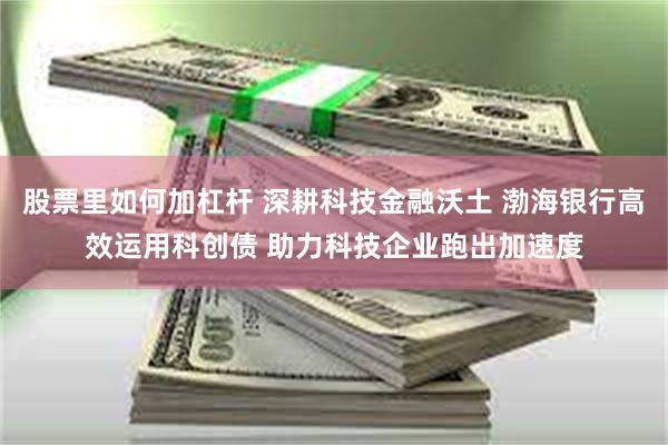 股票里如何加杠杆 深耕科技金融沃土 渤海银行高效运用科创债 助力科技企业跑出加速度