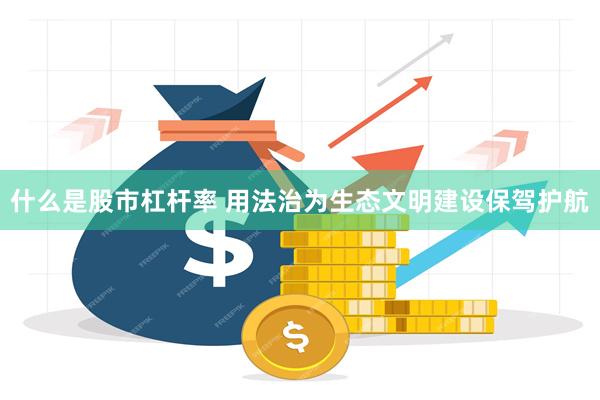 什么是股市杠杆率 用法治为生态文明建设保驾护航