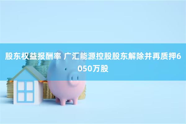 股东权益报酬率 广汇能源控股股东解除并再质押6050万股
