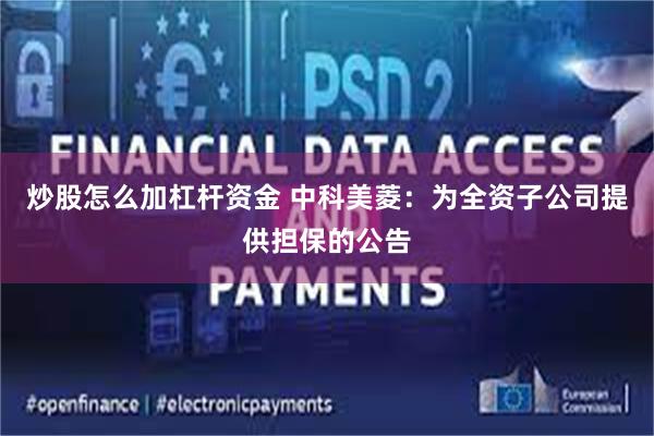 炒股怎么加杠杆资金 中科美菱：为全资子公司提供担保的公告